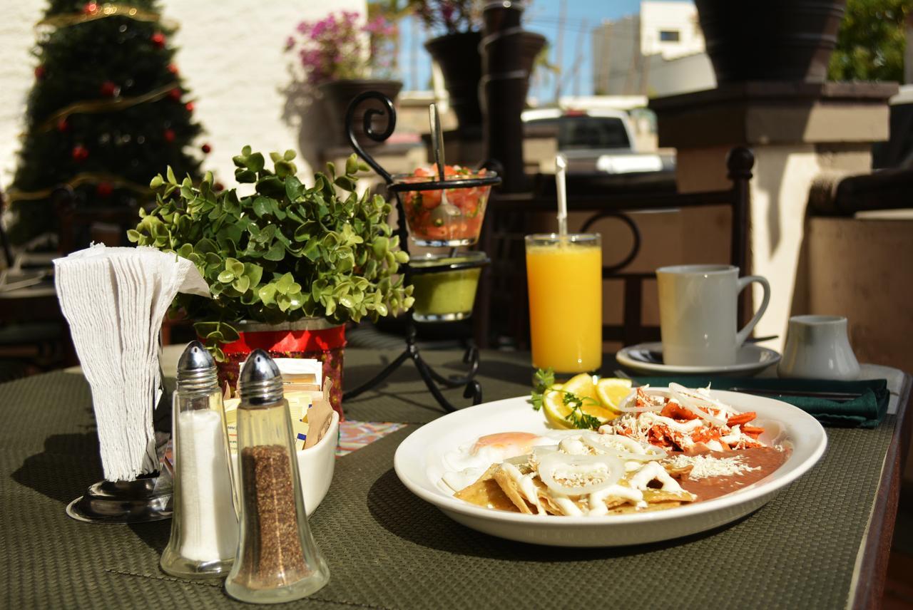 Hotel Posada Terranova San José del Cabo Eksteriør billede