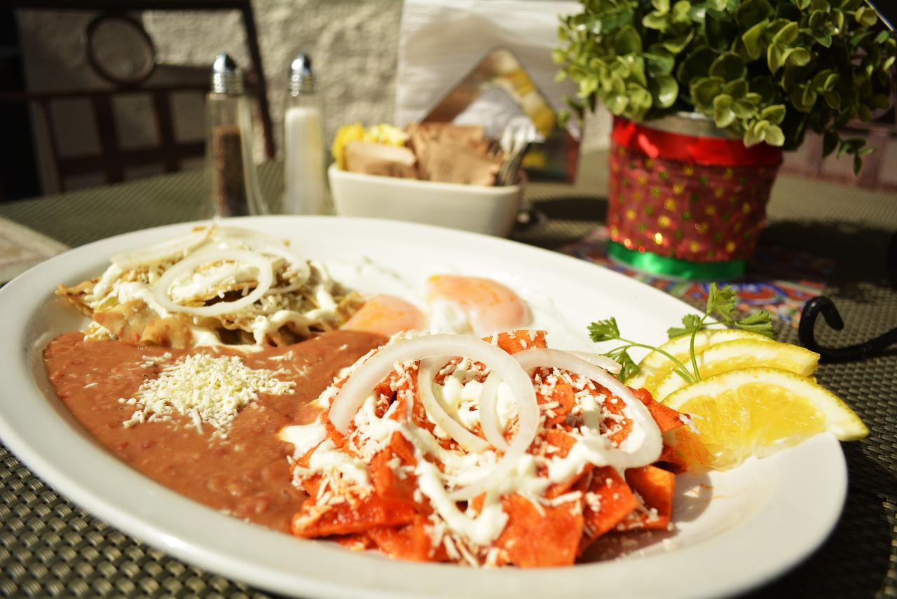 Hotel Posada Terranova San José del Cabo Eksteriør billede